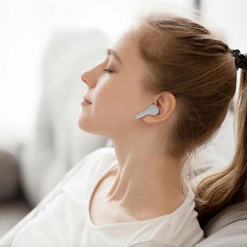 ACEFAST T6 True Wireless Stereo Earbuds
